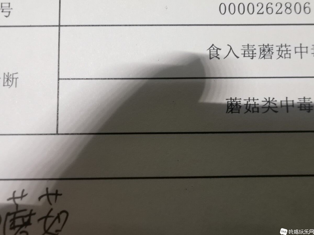 潮汕之旅之美食游记