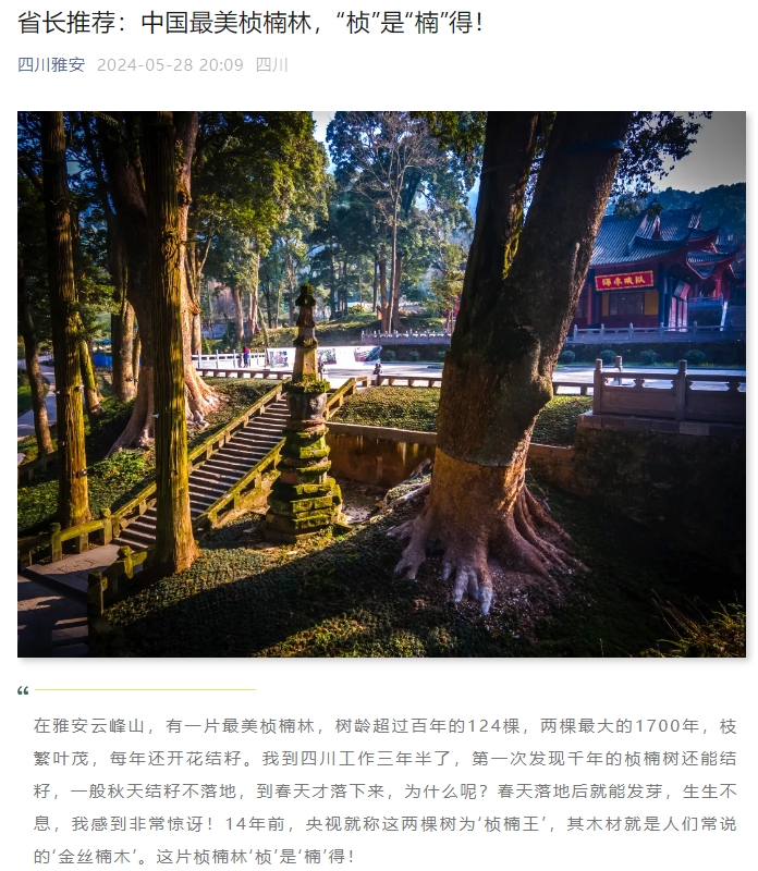 独孤游记：雅安荥经，云峰寺、桢楠王，千年古刹，“桢“是“楠“得！