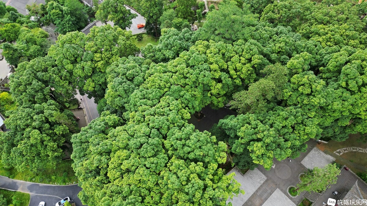 DJI_0573_副本.jpg