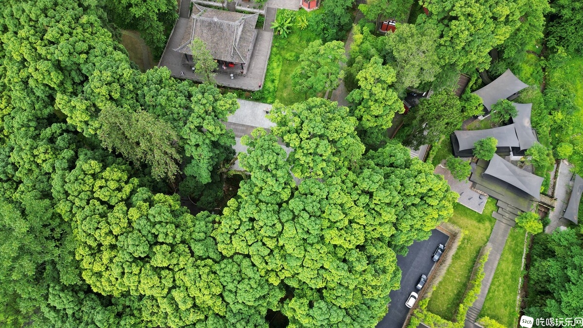 DJI_0578_副本.jpg